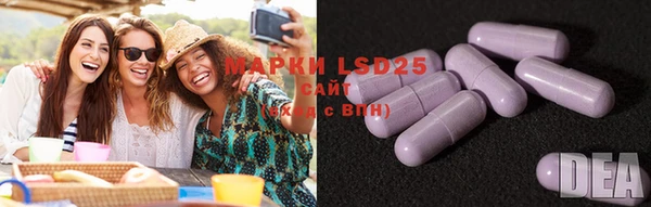 spice Магас