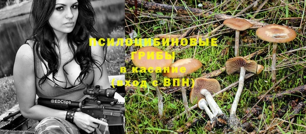 дурь Майский