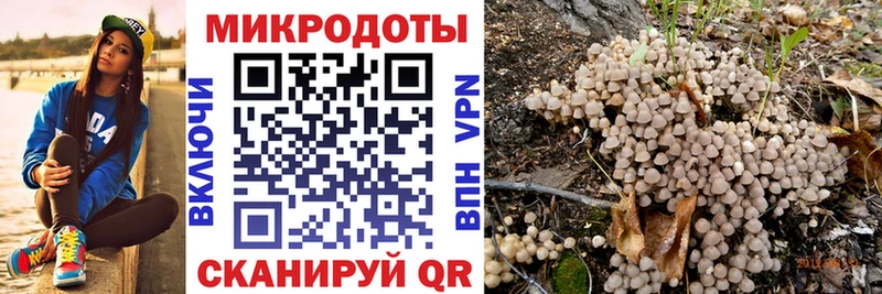 Псилоцибиновые грибы Magic Shrooms  Нижняя Салда 